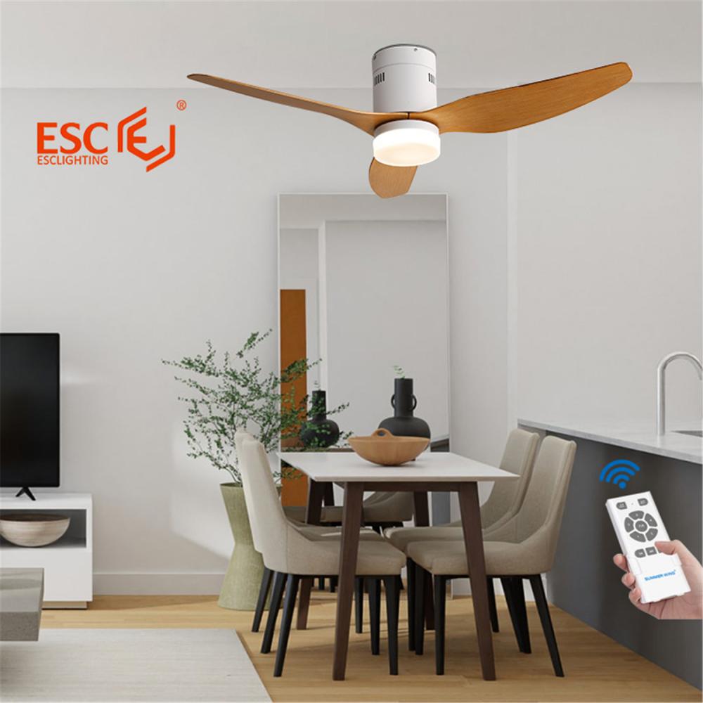 Lampe de ventilateur de plafond à contrôle intelligent à économie d'énergie populaire