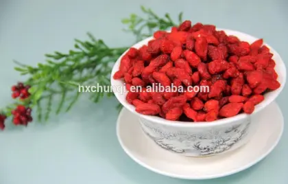 Navita's Naturals Organic sundried goji berry