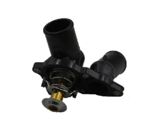 ESAEVER Thermostat 10120201310000 for Trunpchi