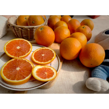 Pure Citrus Orange Powder for Smoothies and Health Supplements