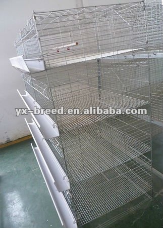 Automatic broiler chicken cage