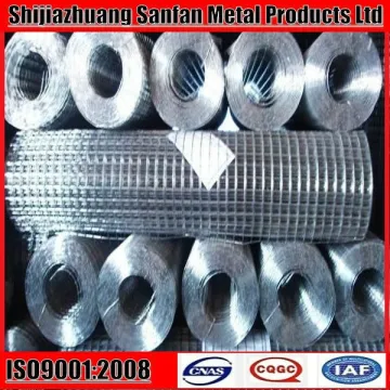 gi welded wire mesh/ gl mesh wire/ welded wire mesh