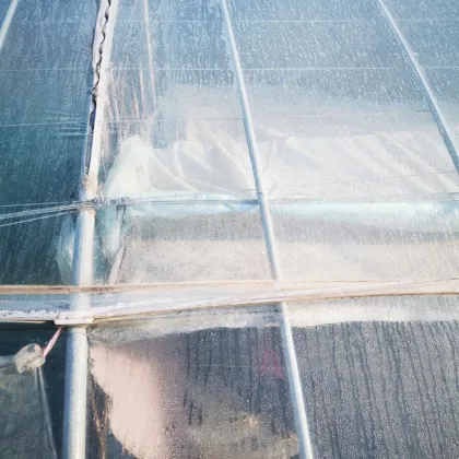 Single-Span Plastic Greenhoue Film Agricultural Plastic Film