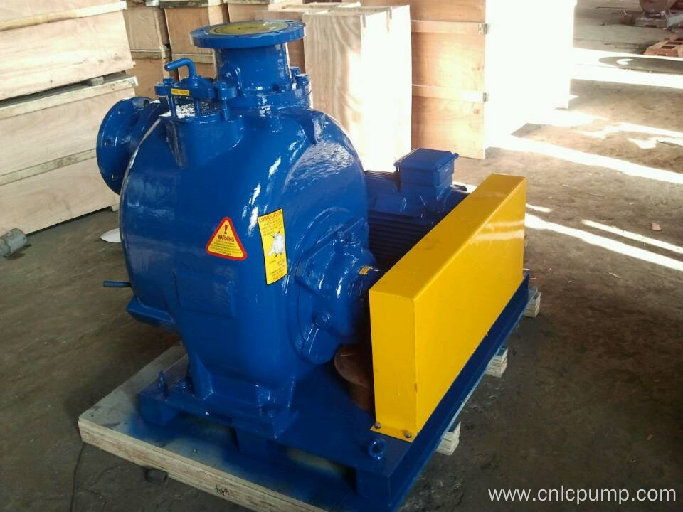 Self priming Centrifugal water pump 10 inch