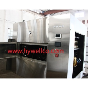 Ginger Slice Low Temperature Drying Machine