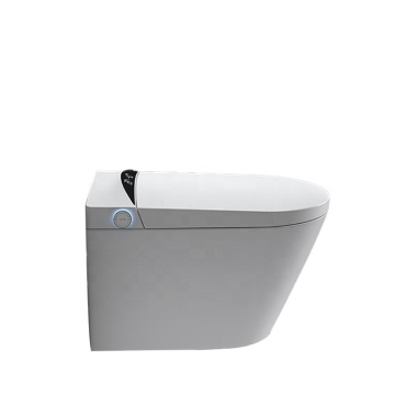 PTB Smart Wall-Mounted Toilet with Built-in Tank, Lady Care Wash Nozzle, and Self-Cleaning Features