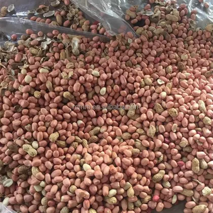 Peanut Sheller Machine Price for Oil Workshop