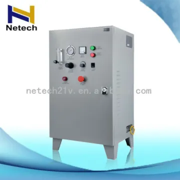 Ozone Air Purifier 10g ozone generator