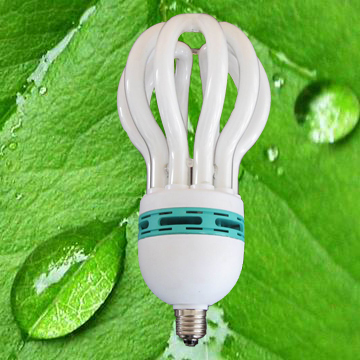 ZYXLH  energy saving lamp