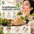 Extracto de Acanthopanax senticosus con eleuterósido E y polisacáridos