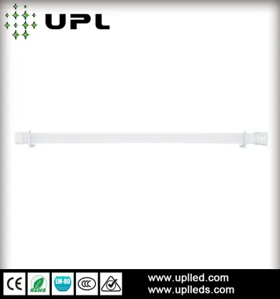 trail of lights austin texas