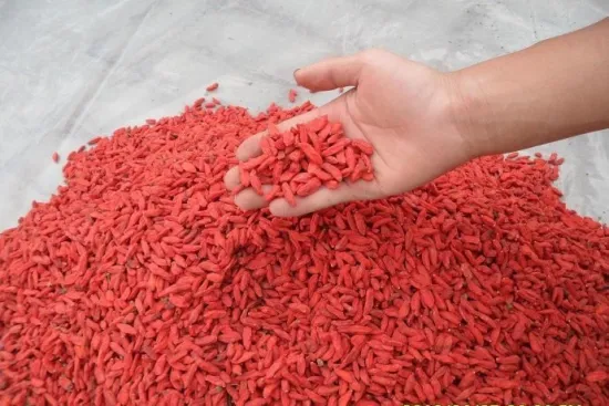 Convencional bayas de goji