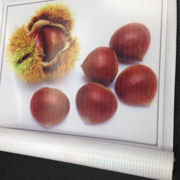 China Factory hot lamination backlit banner and flex raw material