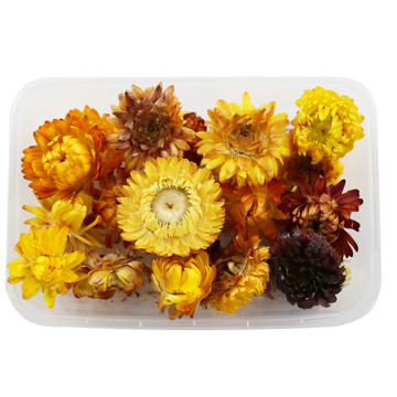 Dry Pressed Nail Flower Mixed Material Pack for Resin Art