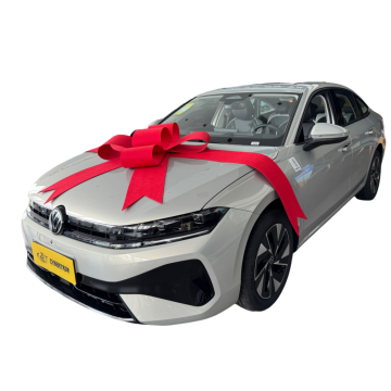 The King Of Family Sedan Space Sagitar