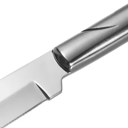 Garwin laguiole stainless steel steak knife