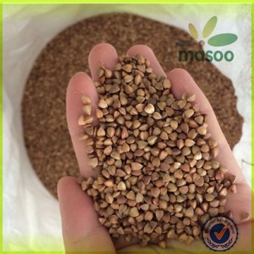 organic buckwheat, roasted buckwheat