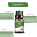 Сатҳи баландсифати синфи баландсифат 10ml равғани Lily