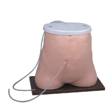Modèle d'enseignement du Manikin médical SC-L64 Péritonum