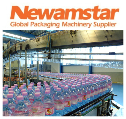 Bottle Conveyor System