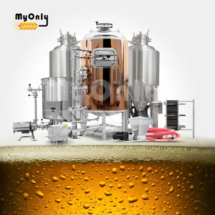 1 Bbl Electric Draft Beer Brewery System - Small Beer Brew Machine Price