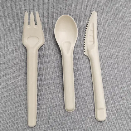 100% Compostable Sugar Cane Fiber Food Spoon Dinnerware