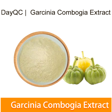 Niveau Garcinia combogia Powder Extrait Hydroxycitric Acid