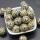 12MM Dalamation Jasper Chakra Balls & Spheres for Meditation Balance