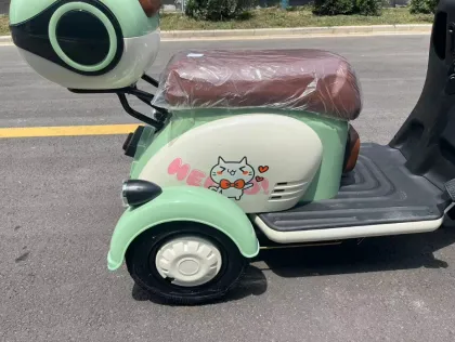 Electric passenger tricycle Cargo Electric Vehicle