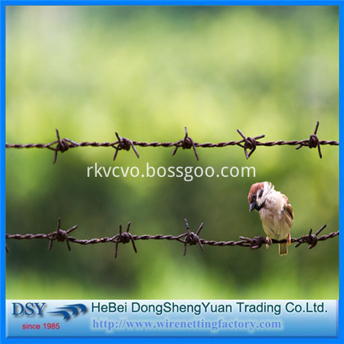 Barbed Iron Wire