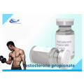 Finished Oil Injectable Testosterone Propionate CAS:57-85-2