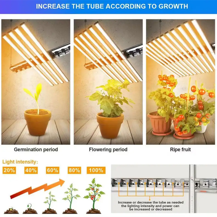 Grow Light