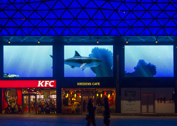 P5 Outdoor Fixed LED Display