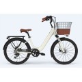 https://www.bossgoo.com/product-detail/customized-ladies-e-bike-with-basket-63471847.html