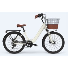 Customized Ladies E Bike With Basket