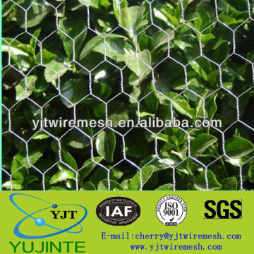 anping hexagonal mesh / cheep galvanized hexagonal wire mesh (ISO9001 )