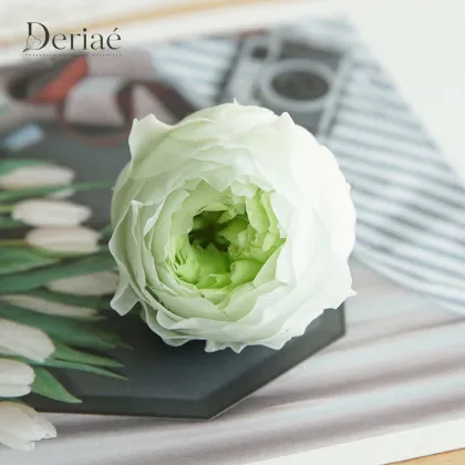 Preserved Double-color Austin Rose Head