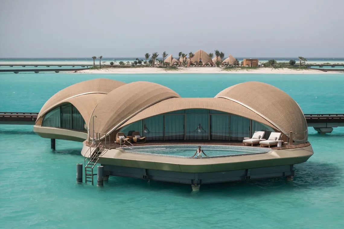 Ritz-Carlton Reserve (28)