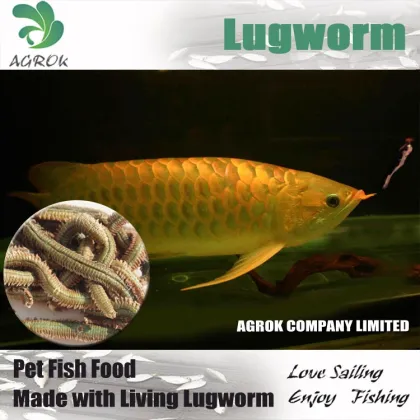 Dried Fresh Lugworm Best Fishing Bait Fish Food