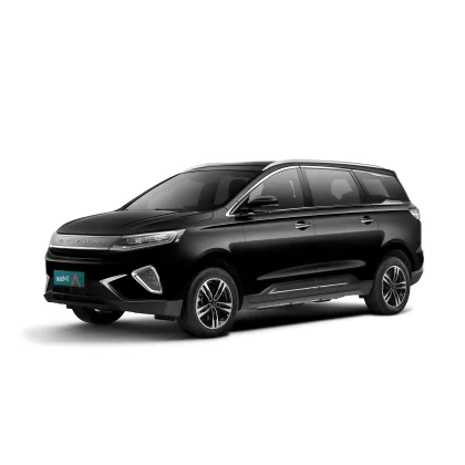 2023 Dayun Brand New Energy Electric Vehicle