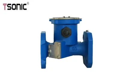 Ultrasonic digital water flow measurement