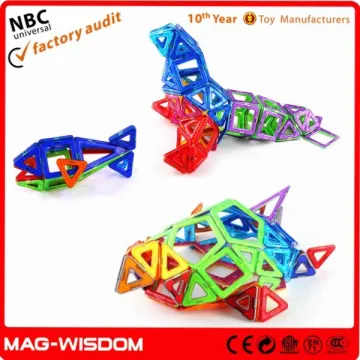 Creative Toys Magnetic Card