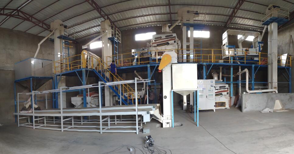 bean cleaning plant 4