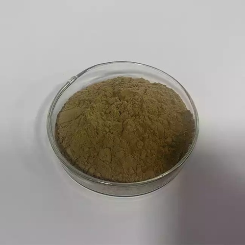 Ashwagandha Root Extract 1.5%-10% Withanolides