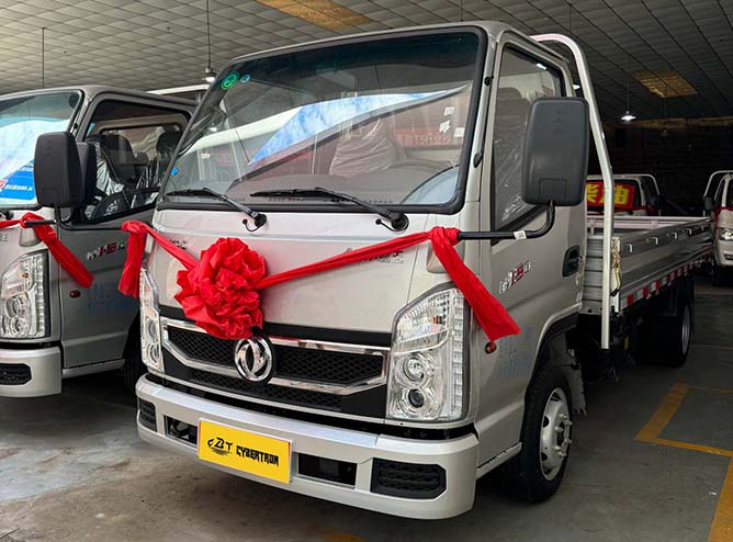 Dongfeng Xiaobawang W15 Light Truck