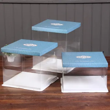 Plastic tall birthday cake box