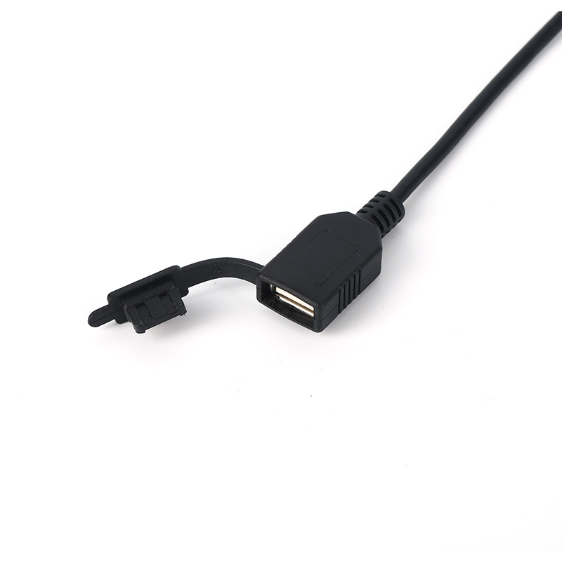 Custom Cabinet Wiring Harness