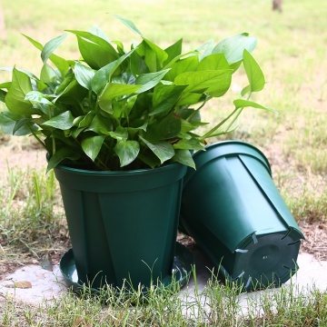 Enkel fast färgplastblommor