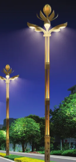 Chinese Style  Begonia Combination Lamp