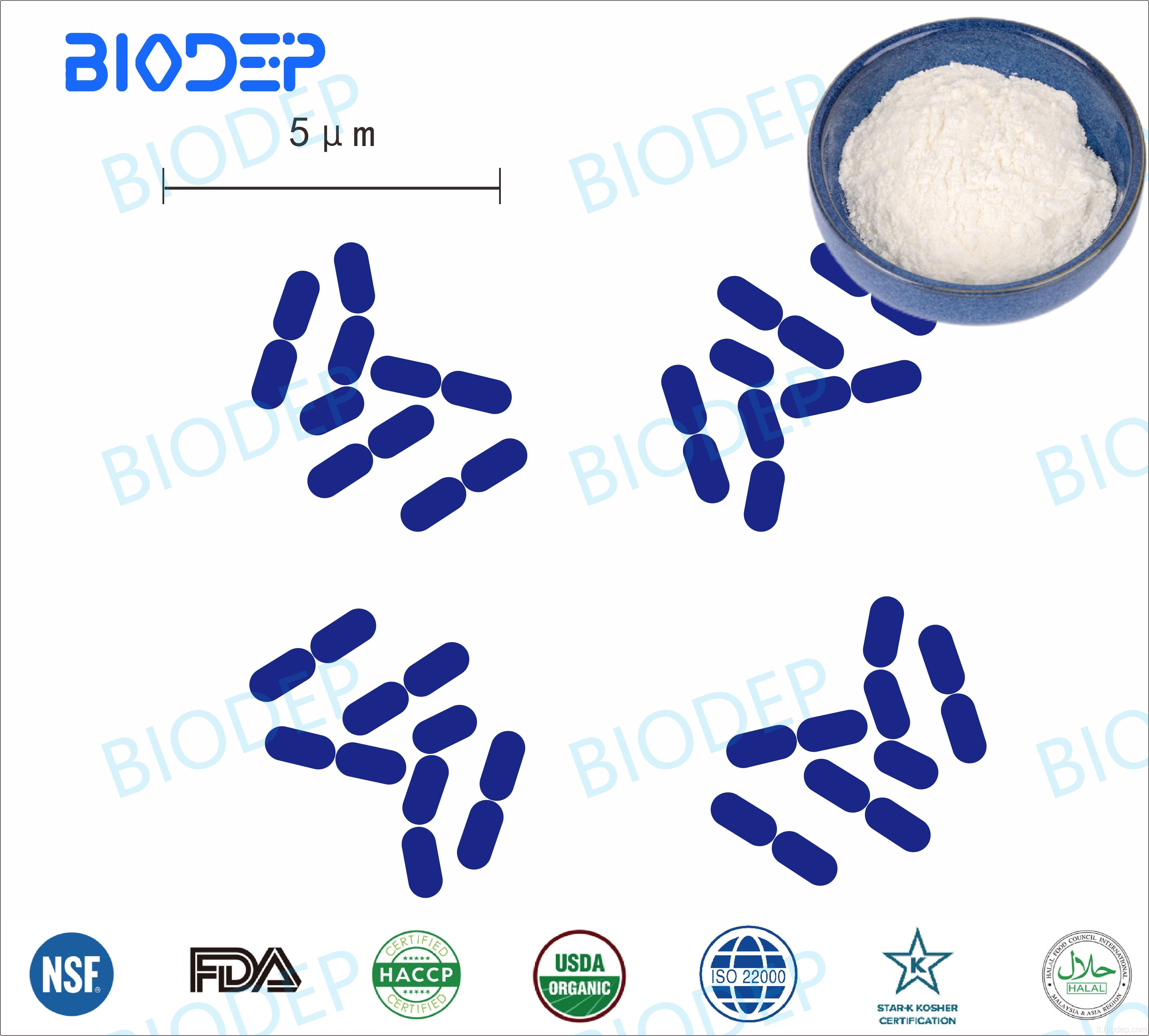 Capsule probiotici ad alta stabilità Lactobacillus plantarum